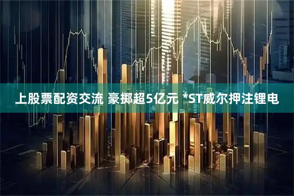 上股票配资交流 豪掷超5亿元 *ST威尔押注锂电